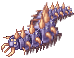 Centipede
