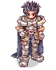 Paladin